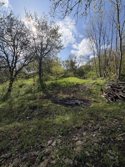 Teren de vanzare Traisteni, Valea Doftanei! - 4