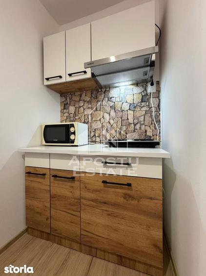 Apartament 1 camera de inchiriat, prima inchiriere, zona Blascovici - 5
