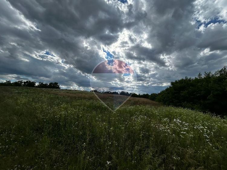 Teren agricol intravilan de 5000 mp, în Satulung