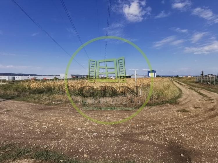 Teren Construcții intravilan de 5840 mp, în Oșorhei