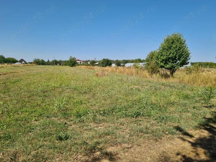 Teren de 5000 mp, în Central