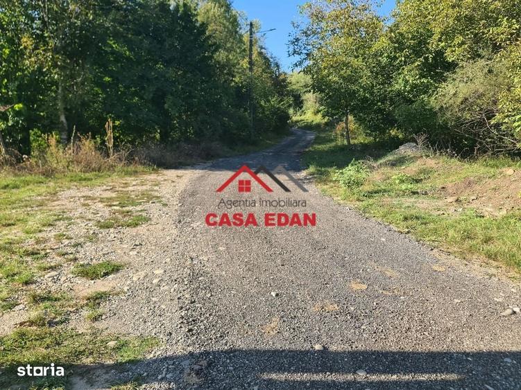 Teren intravilan in Cornu (Ph)--1490 mp--29e - 5