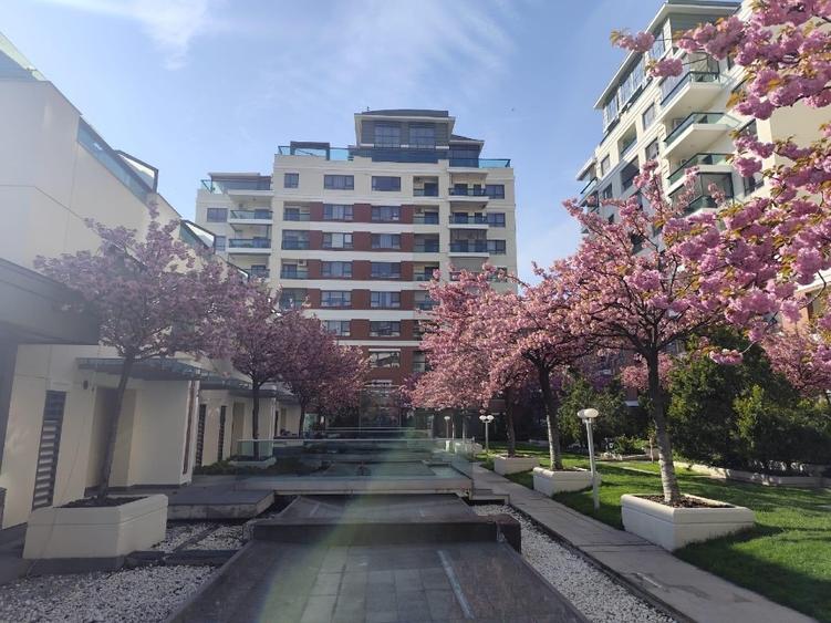 Apartament cu 3 camere semidecomandat, mobilat în Tei