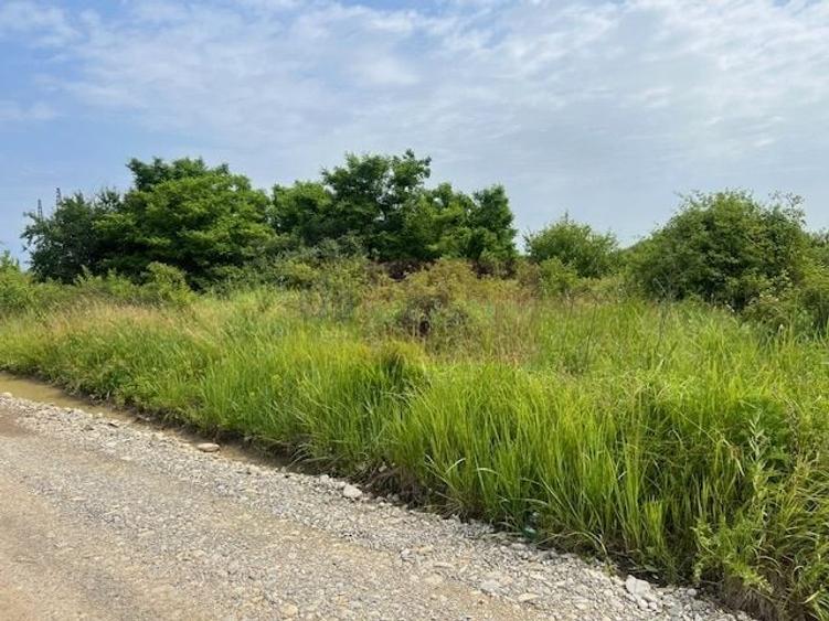 Teren agricol intravilan de 5444 mp, în Săftica
