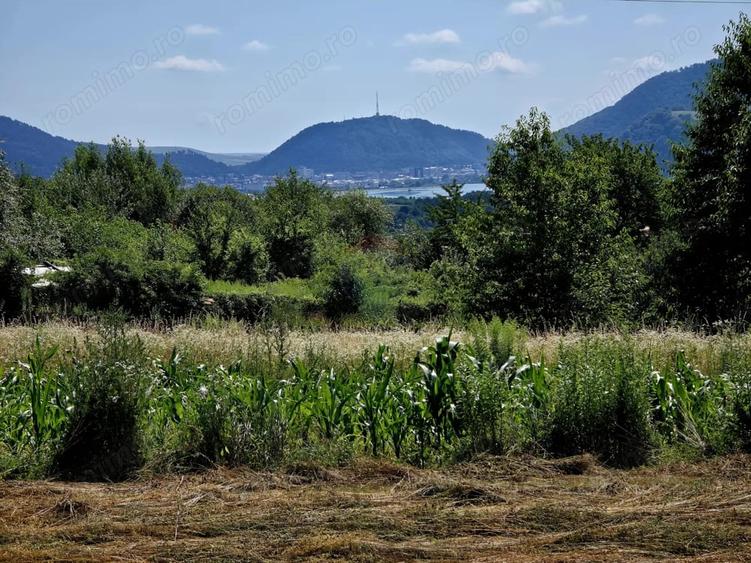 Teren de 600 mp, în Viișoara