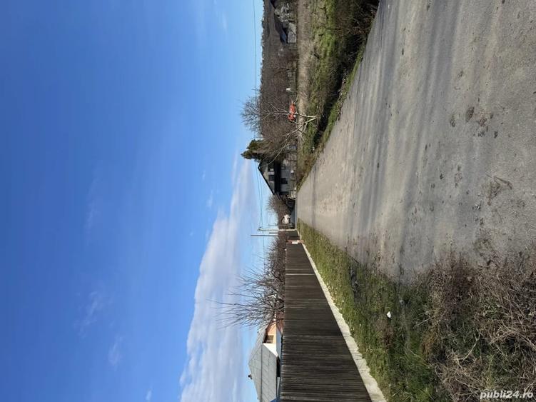 Teren de 1300 mp, în Curtișoara