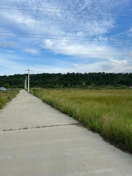 Teren de 30000 mp, în Drăguțești