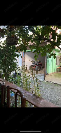 Vand casa cu teren de 18 arii in Sanpetru Almasului - 4