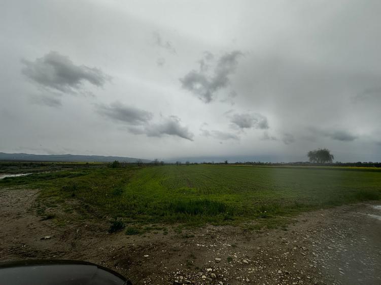 Teren Construcții extravilan de 2500 mp, în Câmpineanca