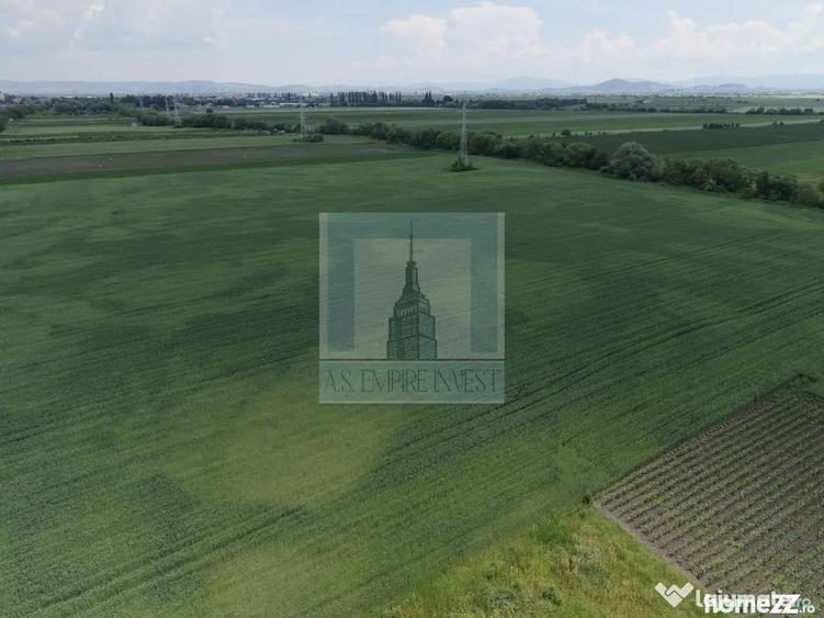 Teren de 50000 mp, în Hălchiu