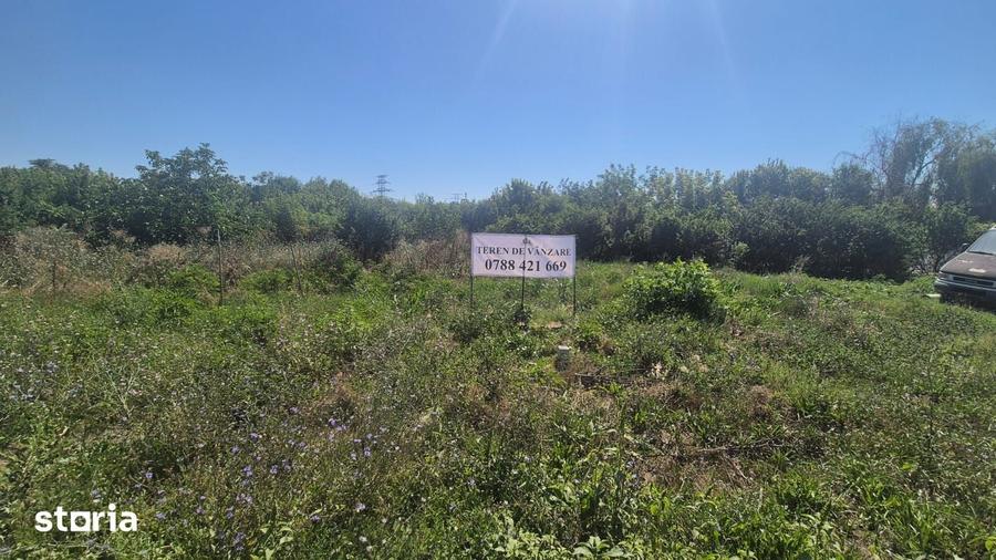 Teren de 22957 mp, în Jilava