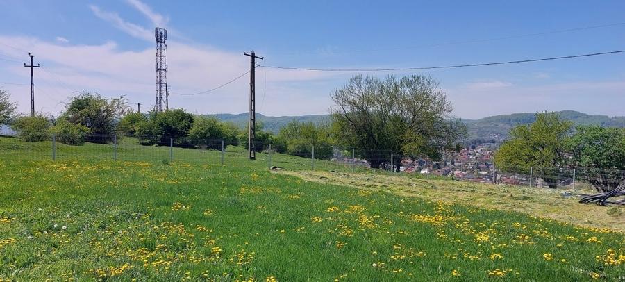 Teren Construcții intravilan de 9900 mp, în Mușcel