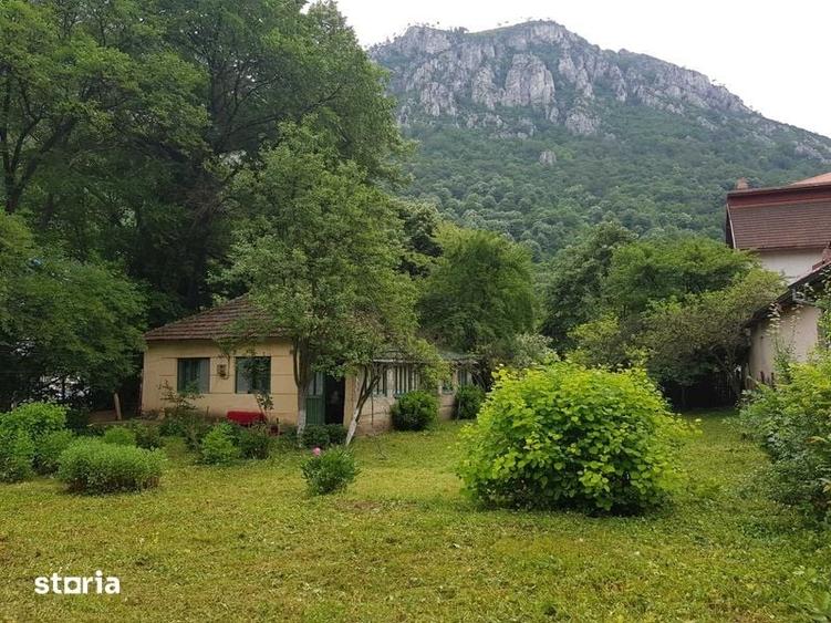 Vanzare casa cu teren in Herculane - 1