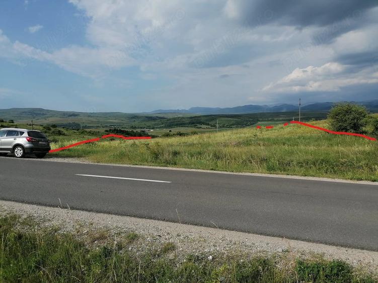 Teren de 3600 mp, în Ciurila