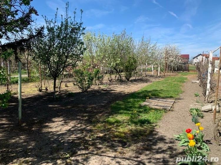 Casă individuală cu 3 camere cu Teren 3500 Mp în Cenei
