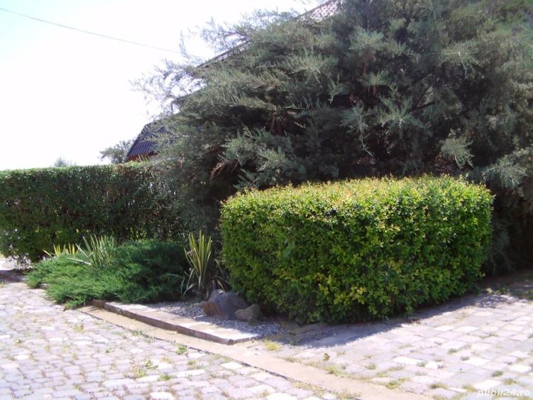 Casa Danesti - 7