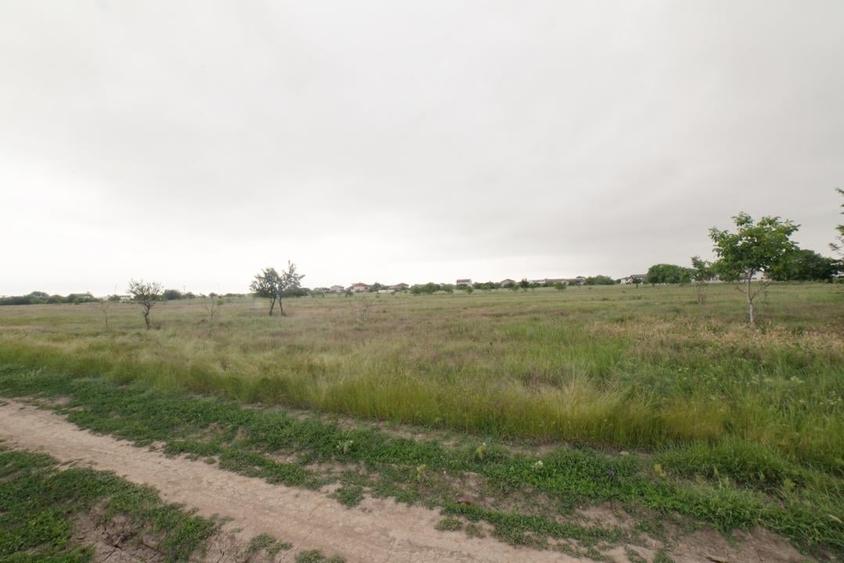 Comuna Berceni Lot teren 700 mp Intravilan deschidere 17m - 5