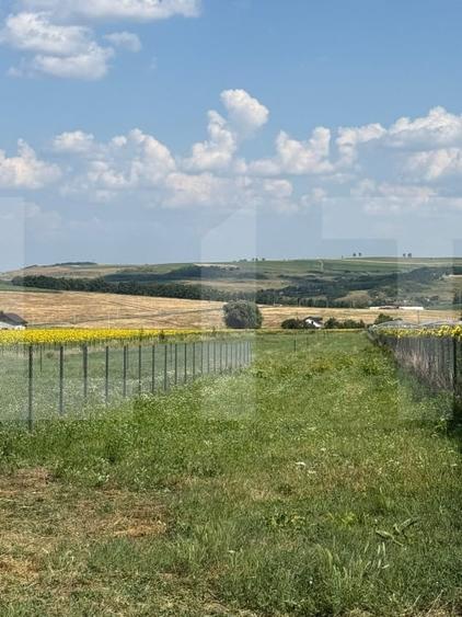 Teren Construcții intravilan de 1000 mp, în Zăicești