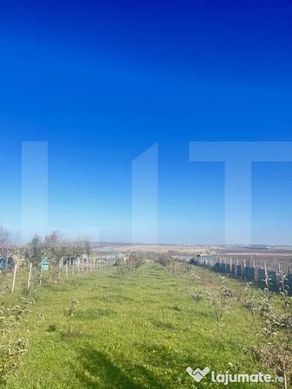 Teren de 5000 mp, în Orășeni-Vale