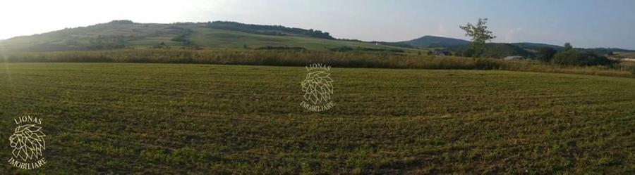 Teren agricol extravilan de 5500 mp, în Jelna