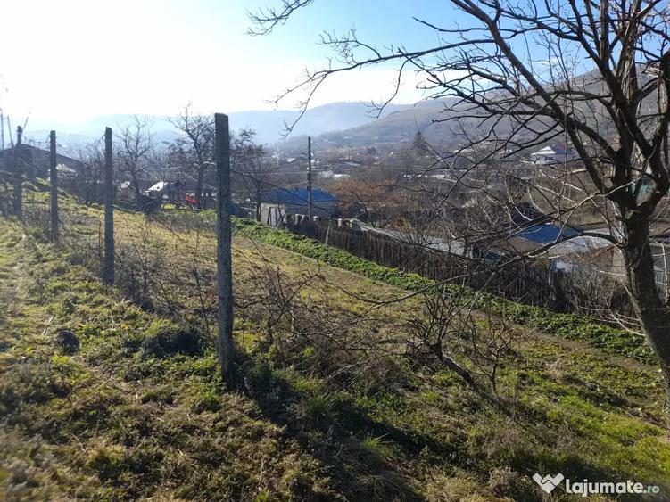 Teren de 600 mp, în Niculițel