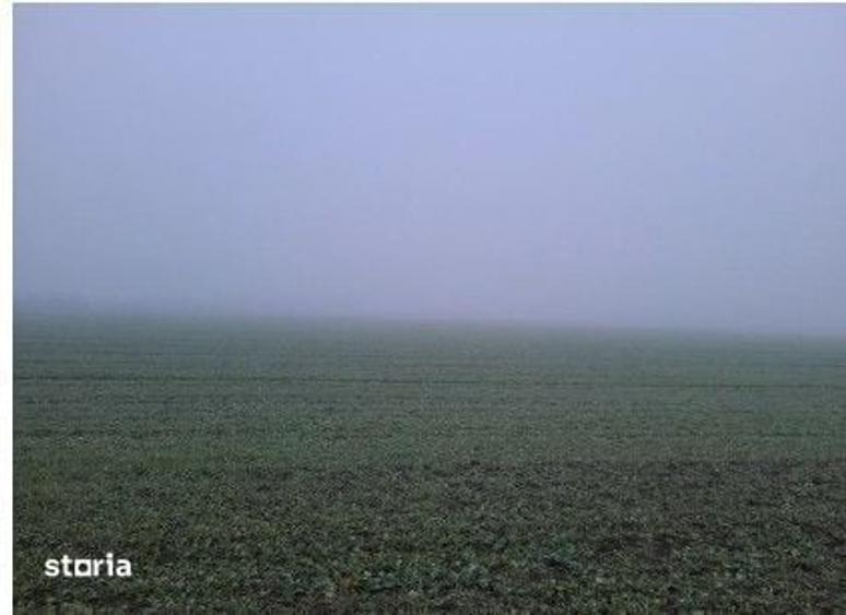 Teren de 4040 mp, în Troianul
