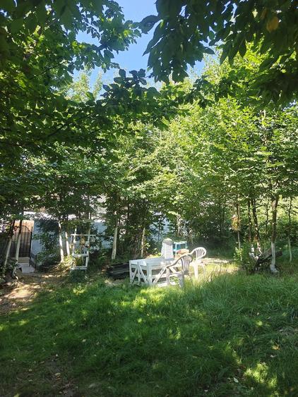 Casă cu Teren 300 Mp în Paltin