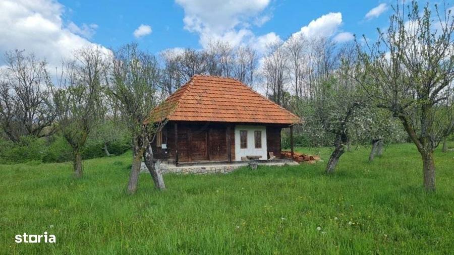 Casă cu 4 camere în Albești