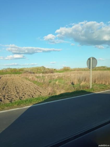 Teren de 5000 mp, în Drânceni