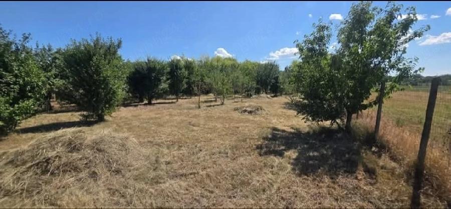Teren de 2930 mp, în Mâsca