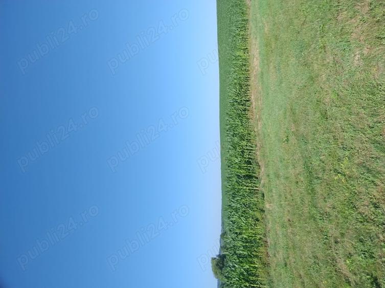 Teren în Valea Albă