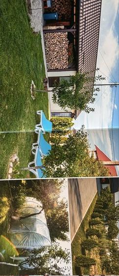Casă cu 4 camere în Albota