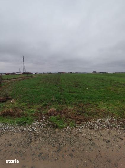 Teren de 3266 mp, în Ișalnița
