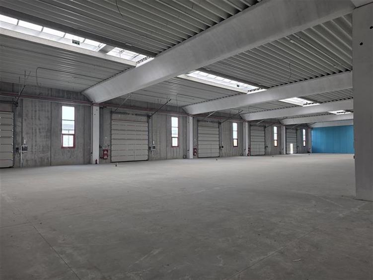 Vanzare depozit/spatiu industrial/hala Chitila - Rudeni, ILFOV - 13