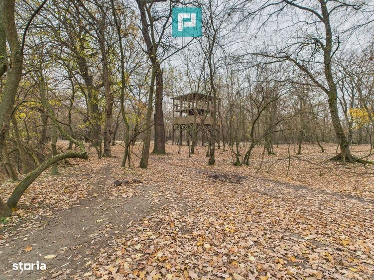 Spațiu comercial, în Periam
