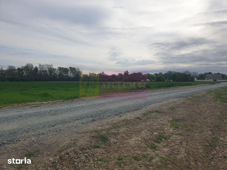 Teren ideal dezvoltare imobiliara in Magurele strada Atmosferei - 7
