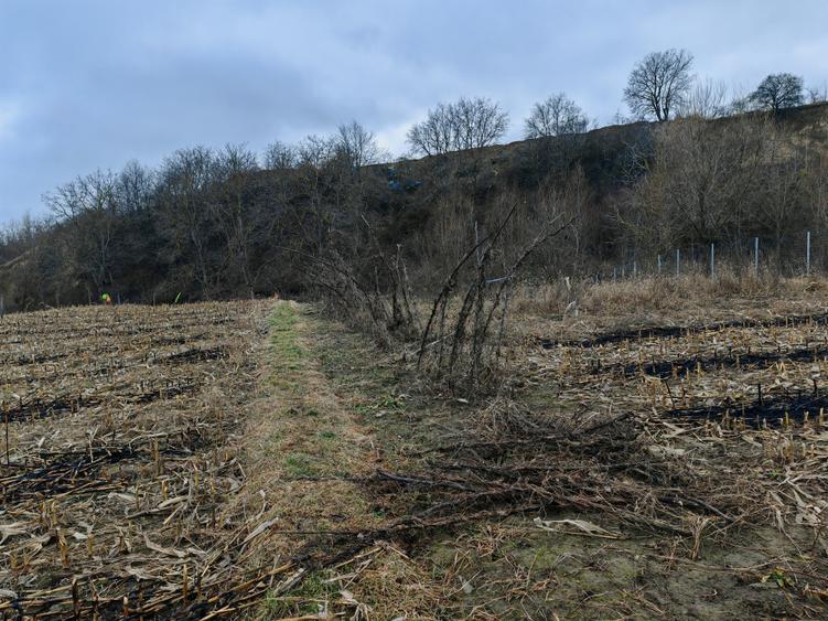 Teren Construcții intravilan de 3000 mp, în Măgura
