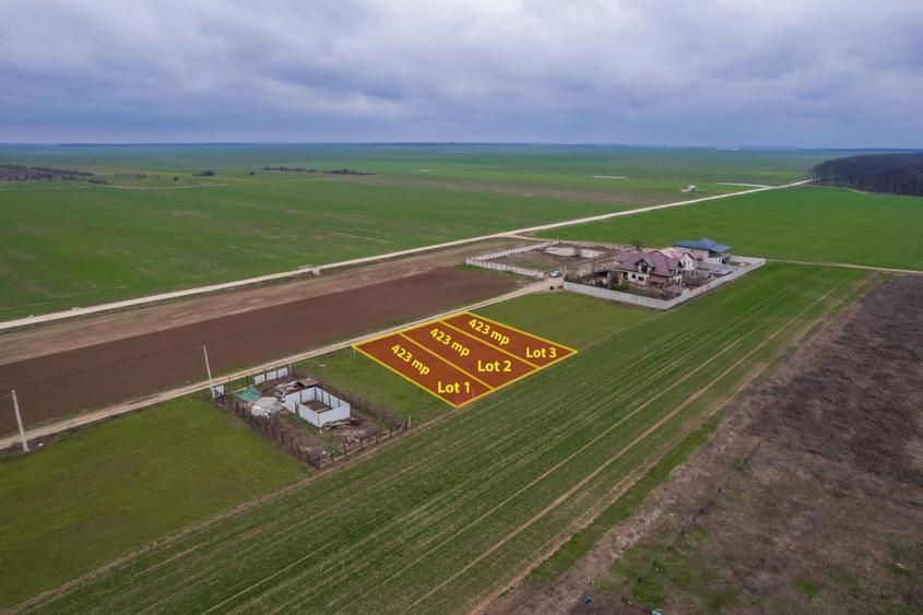 Teren Construcții intravilan de 423 mp, în Frumușani