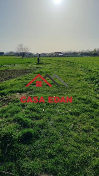 Teren agricol extravilan de 5000 mp, în Urleta