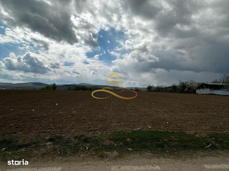 Spațiu comercial, în Fântânele
