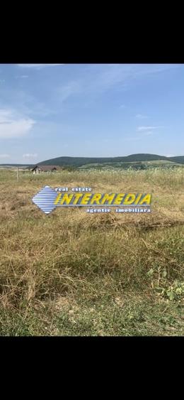 Teren intravilan de vanzare in Alba Iulia in suprafata de 500 mp - 2