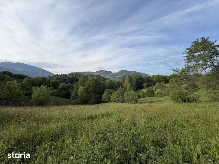Teren de 2000 mp, în Moieciu