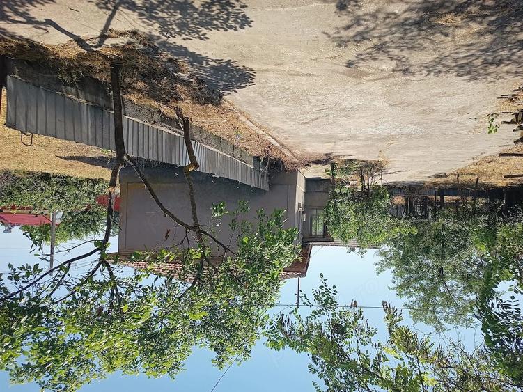 Casă cu 3 camere cu Teren 3500 Mp în Baia