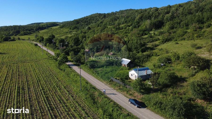 Casa de vanzare in Valea Salciei