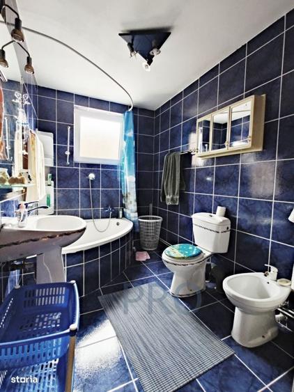 COMISION 0% Spatiu prestari servicii+2 apartamente+garaj+2 terase+520m - 11