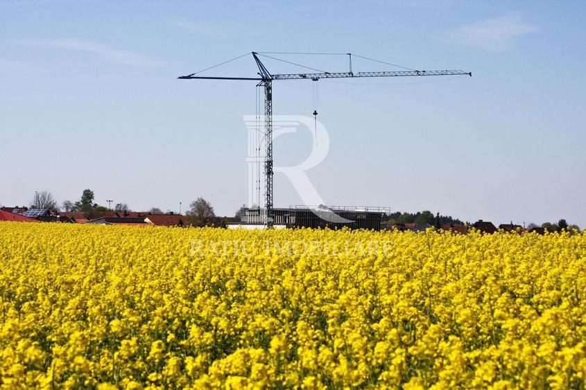Teren Construcții intravilan de 28933 mp, în Nufărul