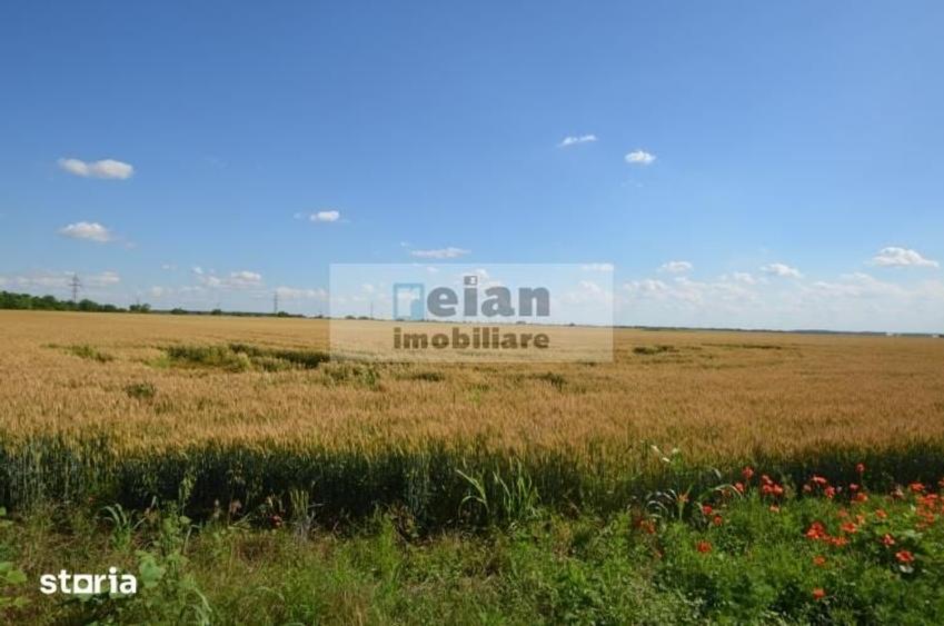 Teren de 28500 mp, în Movilița