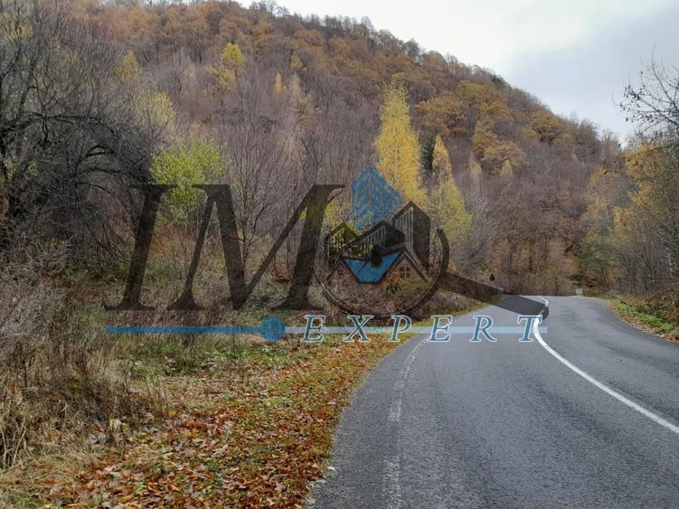 Teren extravilan de 2200 mp, în Tău Bistra