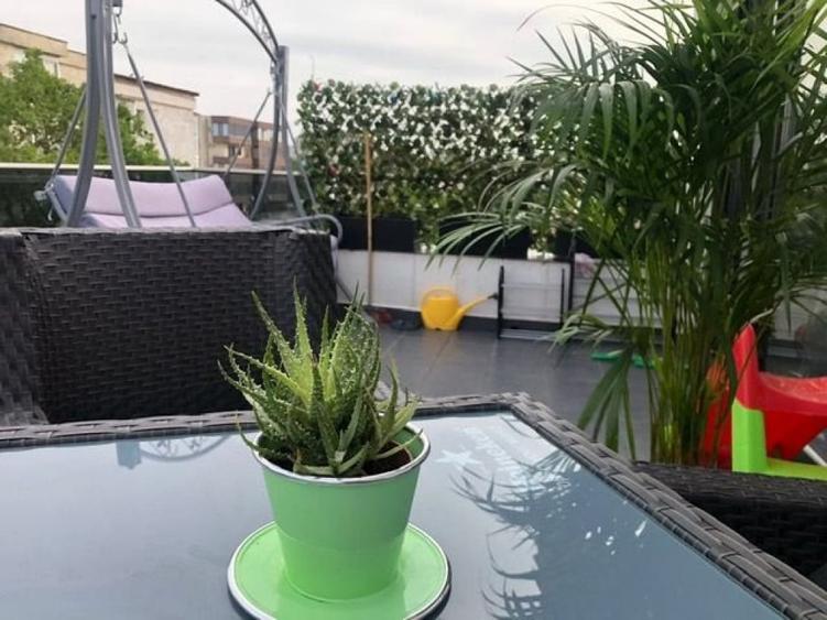 Apartament cu 3 camere si terasa, zona DACIAScoala Spect - 11