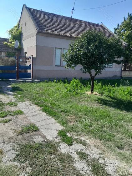 Casă cu 5 camere cu Teren 3800 Mp în Central